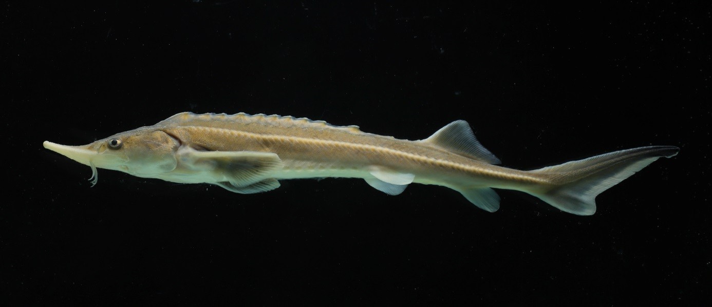 monstur_projekt (1).jpg